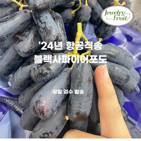 씨없는 블랙 사파이어포도 껍질째 먹는 탕후루 수입 사파이어 가지 포도 500g, 1개