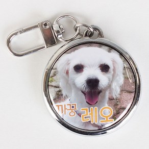 왈가독 사진으로 만드는 강아지 고양이 포토 인식표 이름표