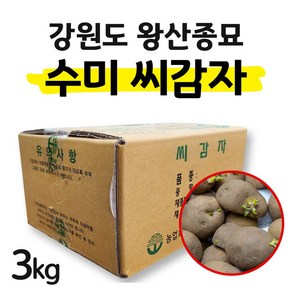 왕산종묘 수미 야채 반찬용 씨감자 강원도 정품, 1박스, 3kg