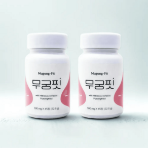 무궁핏 정 무궁화 평화 500mg 45정x2개, 2개, 45정