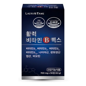 락토테미 활력 비타민b 맥스