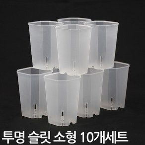 투명 사각 슬릿 롱화분 중형 10개세트 - 플분 플라스틱 슬릿분 플라스틱화분 모스그린 거실화분 인테리어화분 매장화분 중형화분 대형화분 원형화분