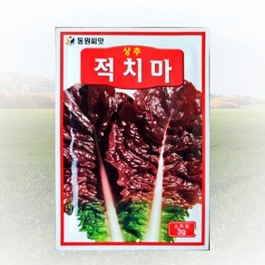 적치마 상추 씨앗 3g 씨앗 종앙 씨 동원 채소 텃밭, 1개