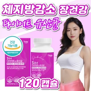 다이어트 유산균 비피더스 b3 비쓰리 유산균 비피움 비피더스균 여성 체지방감소 유산균 식약처 식약청 인증, 1박스, 120정