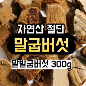 최상급 자연산 말굽버섯 300g 말발굽버섯 말발굽 국내산 말굽, 1개