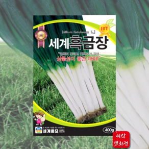 흑금장 파 씨앗 대파 종자 80g, 1개