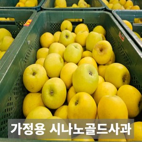 재구매1위 금메달농수산 국내산 가정용 시나노골드사과, 1박스, 8kg 51-60과 한입과