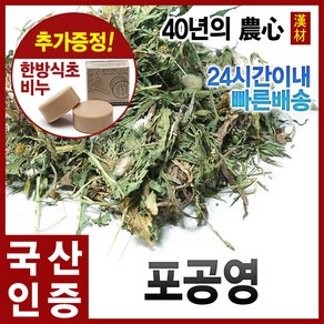 포공영 300g