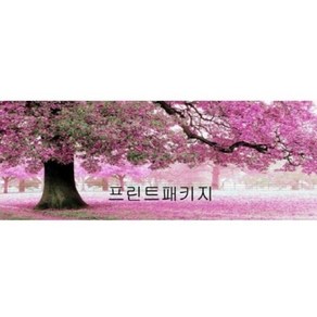 크로스코리아 실십자수 프린트패키지-벚꽃, 1개, 버드나무핑크(소)