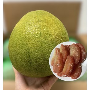 베트남 자몽 VIET NAM 자몽 핑크 포멜로 베트남 포멜로 PINK POMELO (1과 1.2kg~1.5kg), 2개, 1.4kg