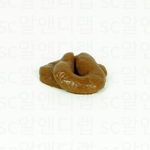 만우절 장난 리얼 응가 진짜같은 모형똥 개그소품 엽기선물 할로윈 소품, 갈색 2세트