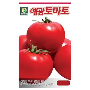 다농 예광토마토 씨앗 100립 토마토씨, 1개