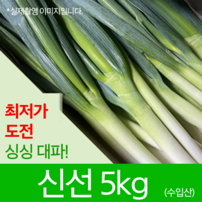 수입 중국산 대파 깐대파 손질 5kg 업소용 식자재 1BOX, 1개