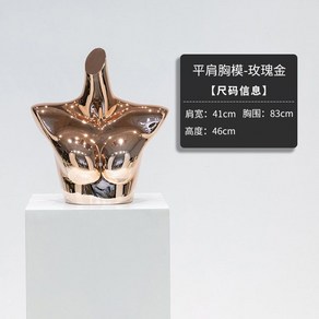 전신마네킹 속옷 피팅 디스플레이 모형 여자 브래지어 모델, 평어깨 가슴 모형-로즈골드, 로즈골드 평어깨 속옷 여성, 1개