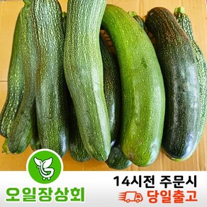 < 오일장상회 > 국내산 쥬키니호박 주키니호박 못난이호박 가정용 1kg 2kg 3kg, 1개, 가정용1kg