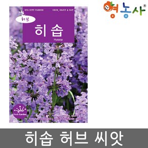 히솝 씨앗 200립 허브씨 종자, 1개