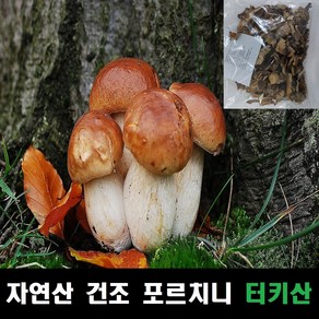 포르치니 자연산 건조 터키산 100g, 포르치니 건조 터키산 100g, 1개