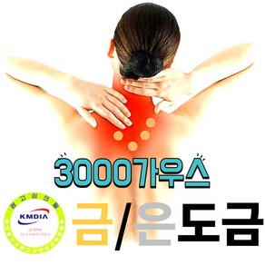 금/은도금 자석파스 오행자금94종 3000가우스 금도금10개+은도금10개+대형파스24장+소형패드50장, 1개