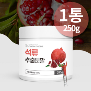 석류추출물 석류 농축 분말 가루 100%, 250g, 1개