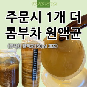 스코비(scoby) 홍차버섯 콤부차원액(kombucha) 발효키트 만들기