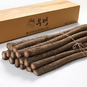 [더조은푸드] [서안동농협] 유명산지 우엉 알뜰(차용) 2kg, 1개