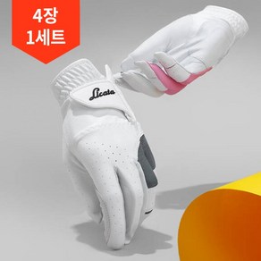 리카타 4장 1세트 솔로 스텔라 반양피 골프장갑