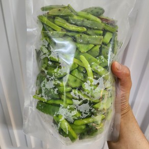 육지거북이 먹이 손질된 천년초 500g, 1개