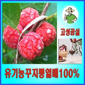 구지뽕 꾸지뽕 발효효소진액 90ml 국산유기농 구찌뽕열매100%