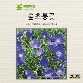 다농 숲초롱꽃 씨앗 200립, 1개