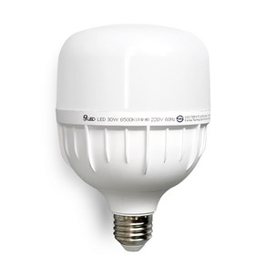 건식 LED 전구 30W E26 고와트 원통 T램프 보안등, 주광색, 1개