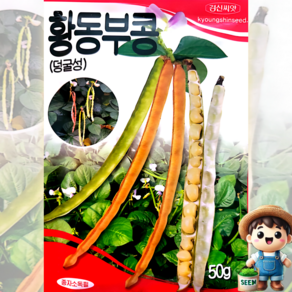 황동부콩 50g 덩굴성 동부 밥콩 떡 채소 씨앗 종자 경신 모든, 1개