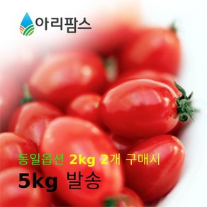 아리팜스 탱글탱글 대추방울토마토 2kg 2개구매시 5kg 발송, 1개, 03. 방울토마토 2kg (중대과)