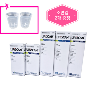 영동제약 소변 검사지 지질 검사지 스틱 케톤 단백질 포도당 백혈구 잠혈 pH 임당 당뇨, 2종, 2개