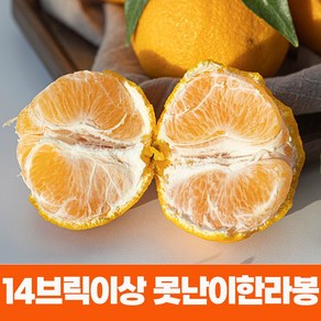 못생겨도 맛있다 14브릭이상 당도보장 고당도 한라봉 가정용혼합과, 1박스, 9kg(대용량)