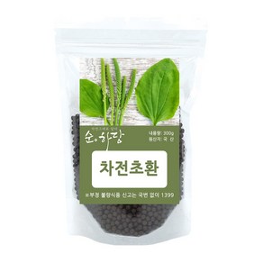 순하당 국산 차전초환 (질경이환), 1개, 300g