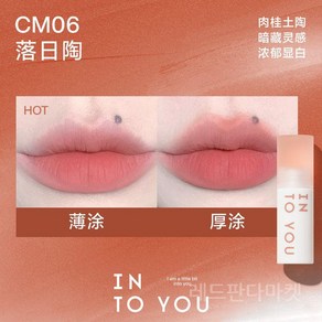 INTO YOU 인투유 클라우디 립 머드 Cloudy Lip Mud 매트 벨벳 틴트, CM06-Cinnamon