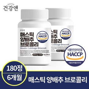 매스틱 양배추 브로콜리 22종 혼합 유산균 식약청인증 HACCP 건강앤, 2개, 90정, 90정