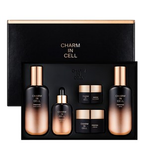 참존 참인셀 프레스티지 스킨케어 세트 (스킨 110ml + 에멀젼 110ml + 크림 50ml + 세럼 50ml + 아이크림 30ml), 1개