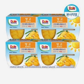 Dole 후룻볼 망고 4팩 총 113g x 16개입, 16개