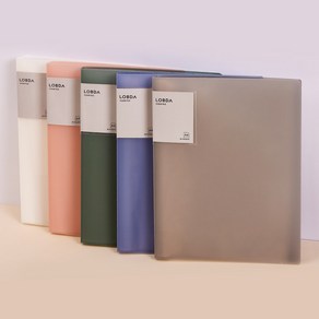 [롭다]클리어화일 A4 40매, 화이트/White Haze