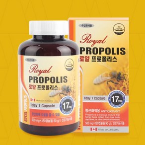 캐나다산 로얄 프로폴리스 캡슐 먹는 포리폴리스 bee popolis 청년 중년 노인, 60정, 1개