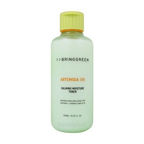 브링그린 쑥 세라 카밍 모이스처 토너 250ml, 1개