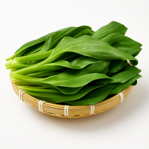 [초특가세일]몬나니마켓 제철 향긋한 생 명이나물 산마늘 잎명이, 1박스, 1kg