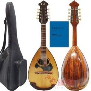 박광택 수공품 만돌린 만도린 Mandolin 500호, 1개