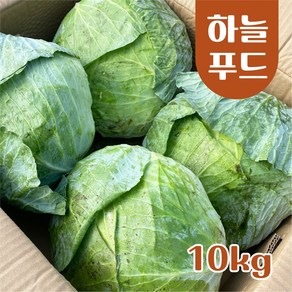 (10kg/Box) 수입 양배추 식자재 [원산지:중국]