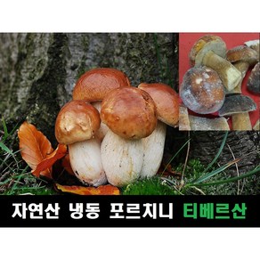 포르치니 자연산 냉동 티베르산 1kg