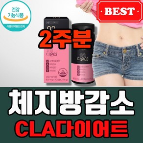 40대여성 홍화씨추출 공액리놀렌산 체지방감소 CLA다이어트 중년다이어트보조제, 42정, 1개