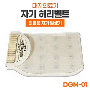 대지의료기 [대지의료기] 국산 의료용 자기발생기 허리보호대 DGM-01, 중형 (100cm), 1개