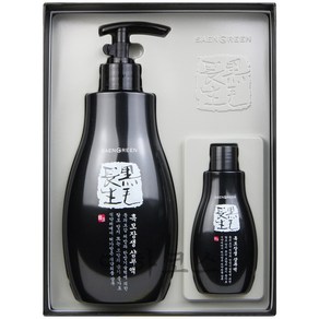 생그린 흑모장생 샴푸액(기능성) 350ml+70ml, 1개, 350ml