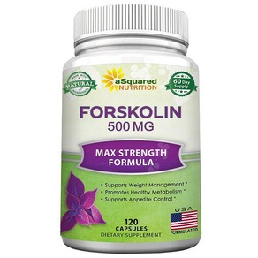 aSquaed Nutition 어스퀘어드 뉴트리션 포스콜린 500mg 120정 Pue Foskolin, 1개